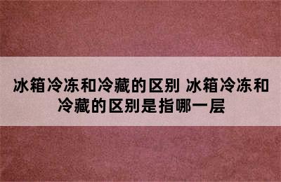 冰箱冷冻和冷藏的区别 冰箱冷冻和冷藏的区别是指哪一层